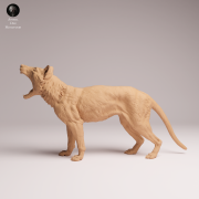 Thylacine Yawn - 4.png