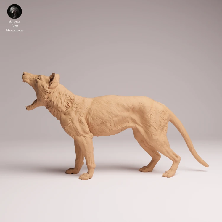 Thylacine Yawn - 4.png