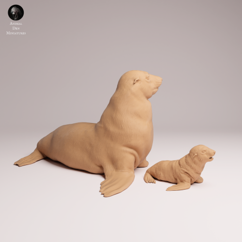 Cape Fur Seal Female and Pup - 1.png