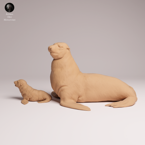 Cape Fur Seal Female and Pup - 2.png