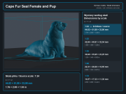 Cape Fur Seal Female and Pup - 5.png