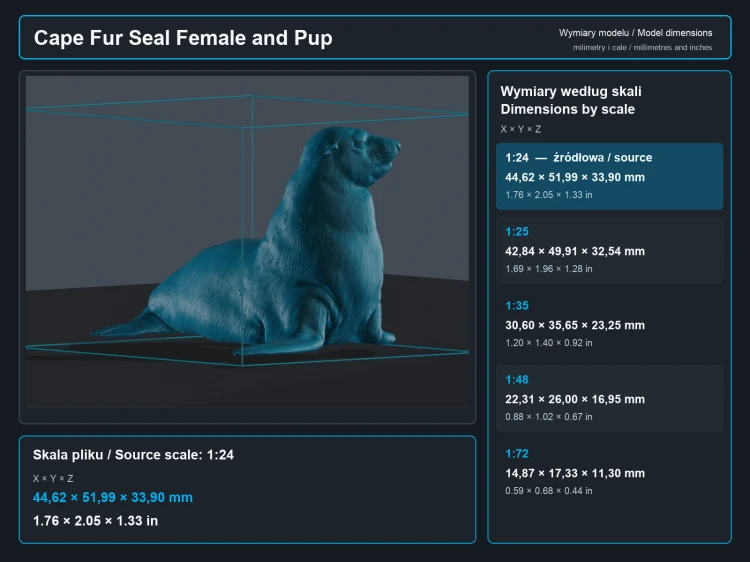 Cape Fur Seal Female and Pup - 5.png