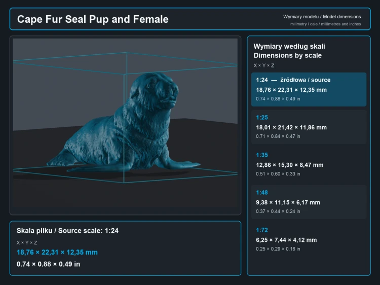 Cape Fur Seal Female and Pup - 6.png