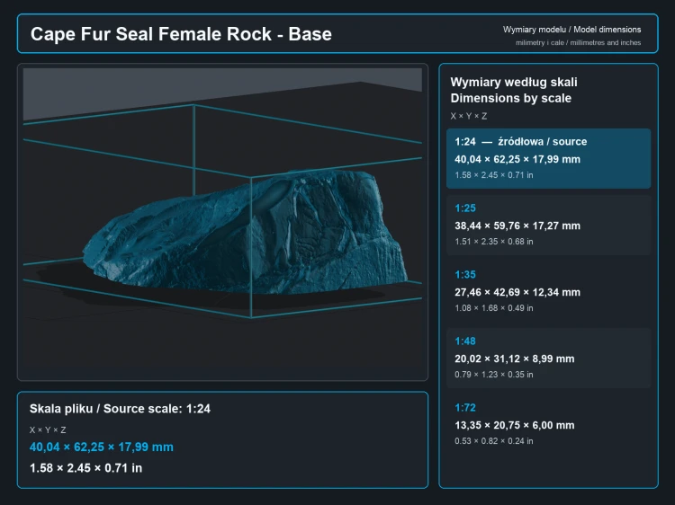 Cape Fur Seal Female on Rock - 5.png