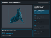 Cape Fur Seal Female on Rock - 6.png