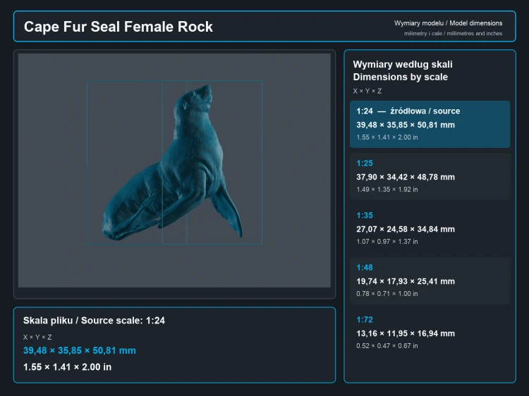 Cape Fur Seal Female on Rock - 6.png