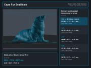 Cape Fur Seal Male - 5.png