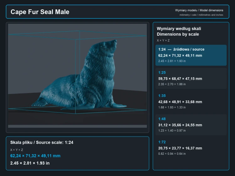 Cape Fur Seal Male - 5.png