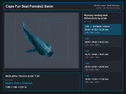 Cape Fur Seals Swim - 5.png
