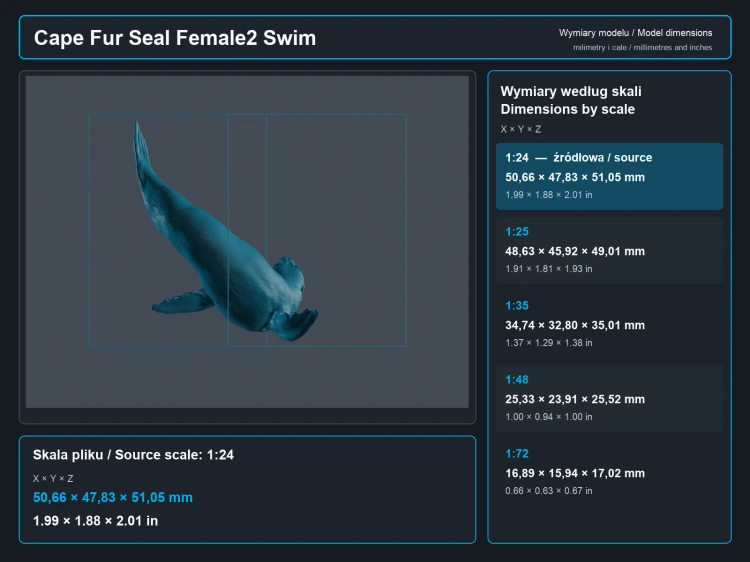 Cape Fur Seals Swim - 5.png