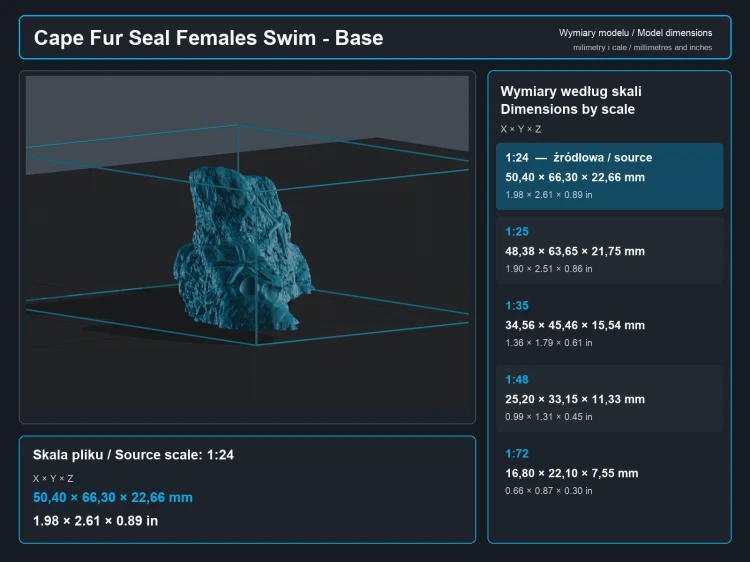 Cape Fur Seals Swim - 7.png