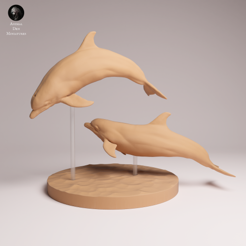 Common Bottlenose Dolphins - 2.png