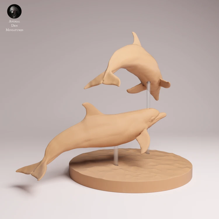 Common Bottlenose Dolphins - 3.png