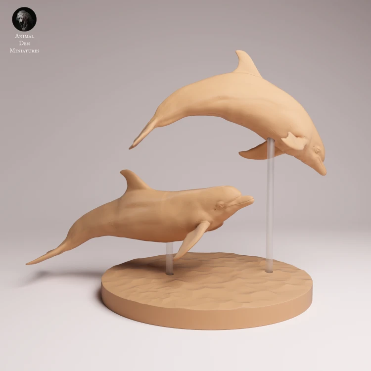 Common Bottlenose Dolphins - 4.png