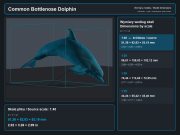 Common Bottlenose Dolphins - 5.png