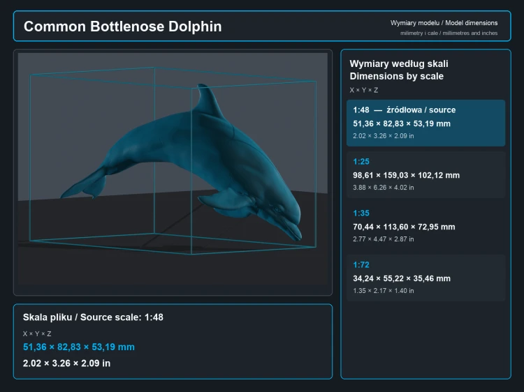 Common Bottlenose Dolphins - 5.png