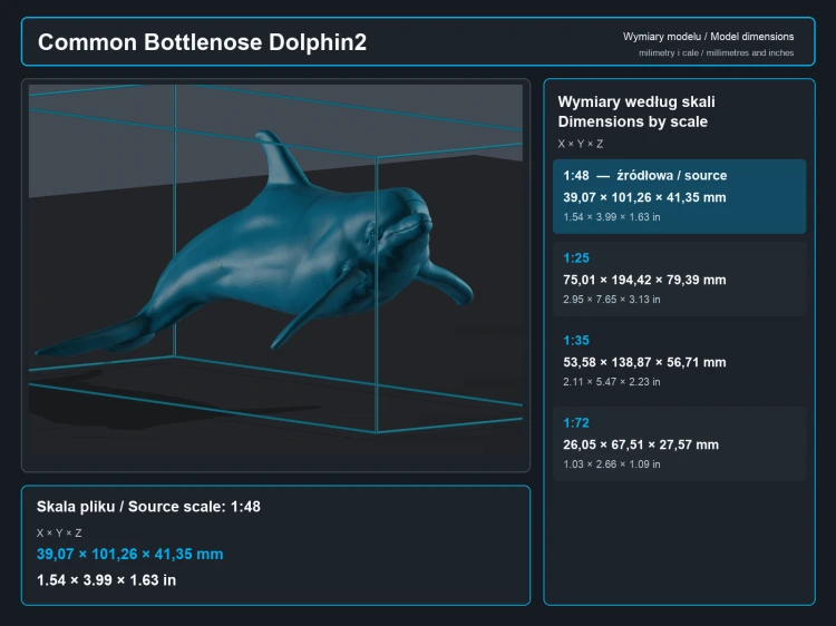 Common Bottlenose Dolphins - 6.png