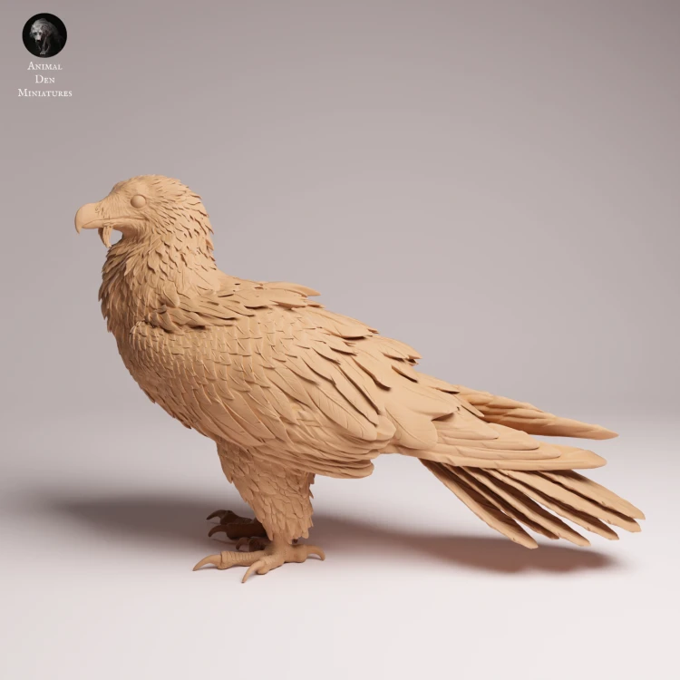 Bearded Vulture - 3.png
