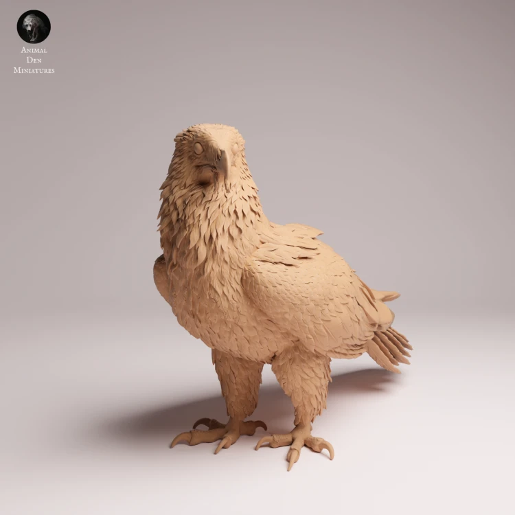 Bearded Vulture - 4.png