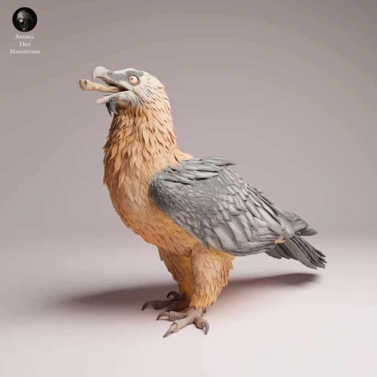 Bearded Vulture Eat - 1.png