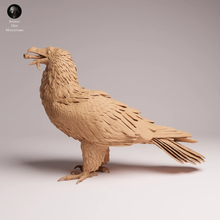 Bearded Vulture Eat - 3.png