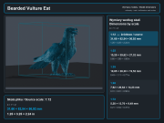 Bearded Vulture Eat - 5.png