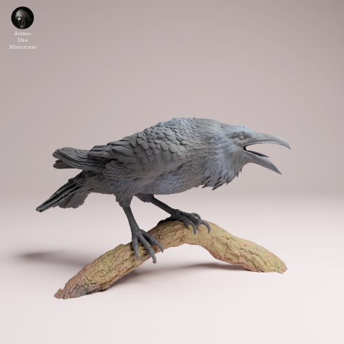 Common Raven - 1.png