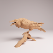 Common Raven - 2.png