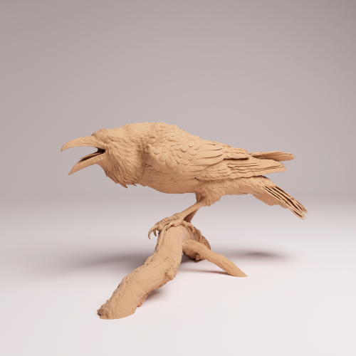 Common Raven - 2.png
