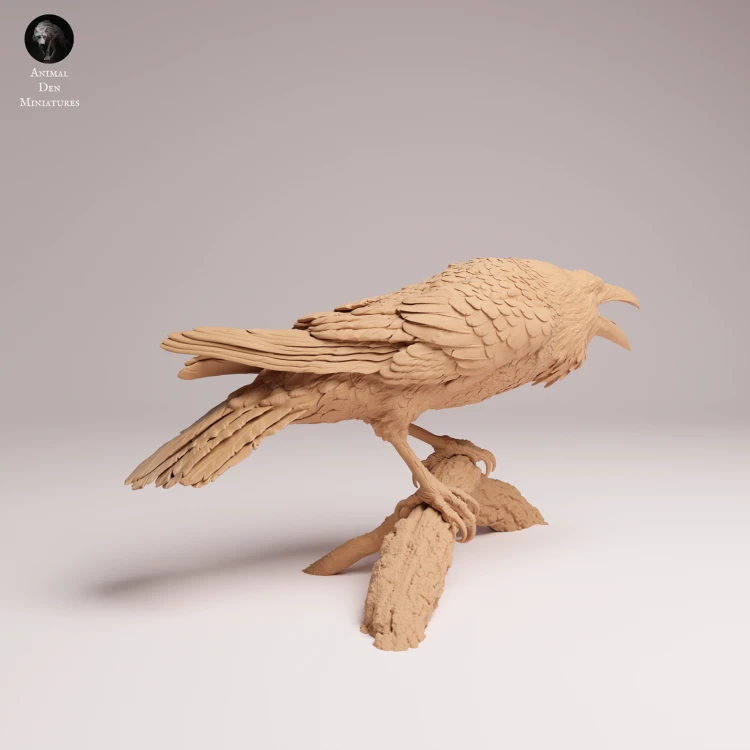 Common Raven - 3.png