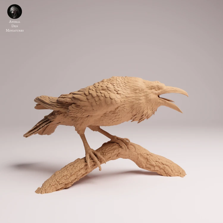 Common Raven - 4.png