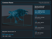 Common Raven - 5.png