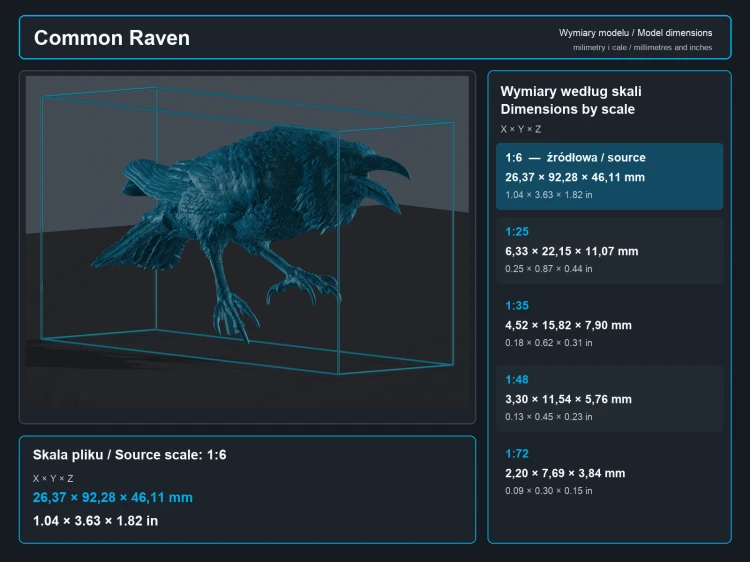 Common Raven - 5.png