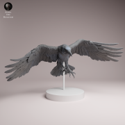 Common Raven Fly - 1.png