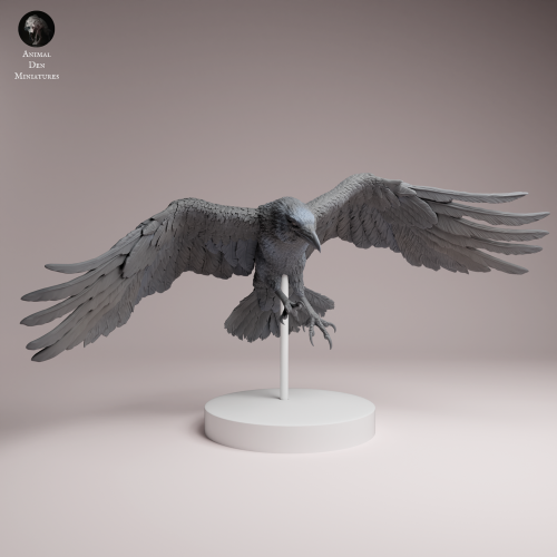 Common Raven Fly - 1.png
