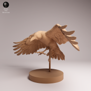 Common Raven Fly - 3.png