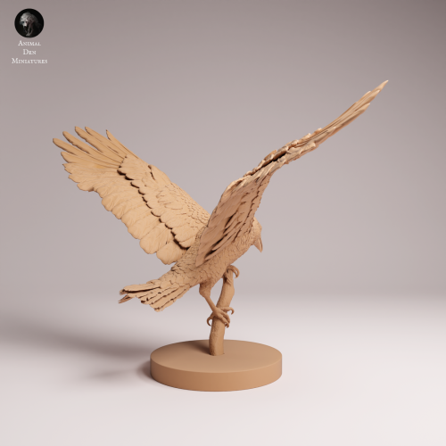 Common Raven Landing - 1.png