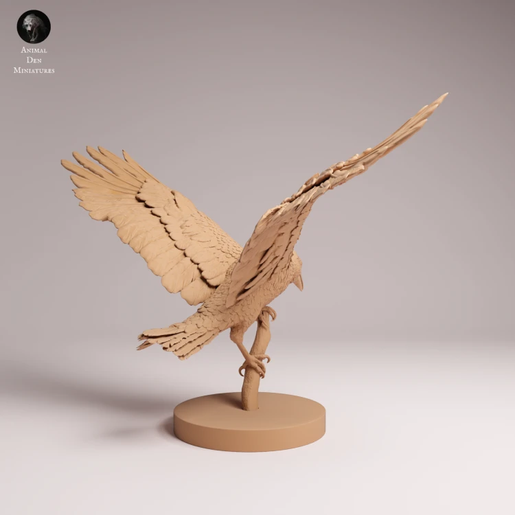 Common Raven Landing - 1.png
