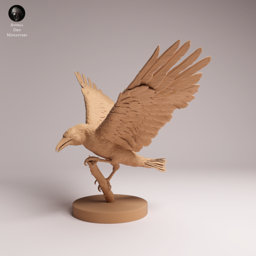 Common Raven Landing - 2.png