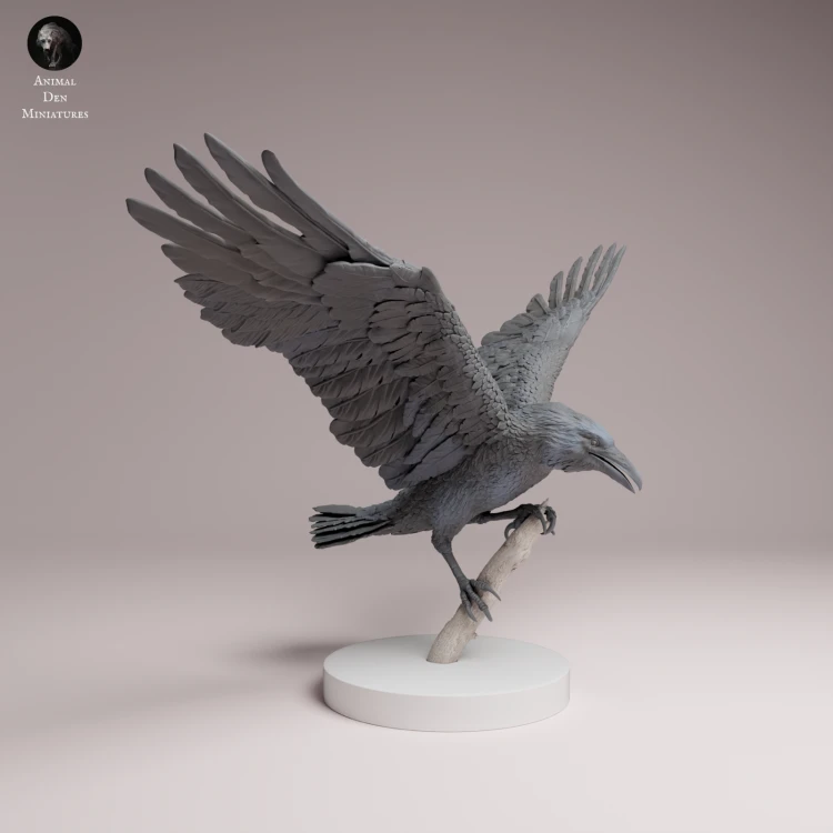Common Raven Landing - 4.png