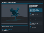 Common Raven Landing - 6.png