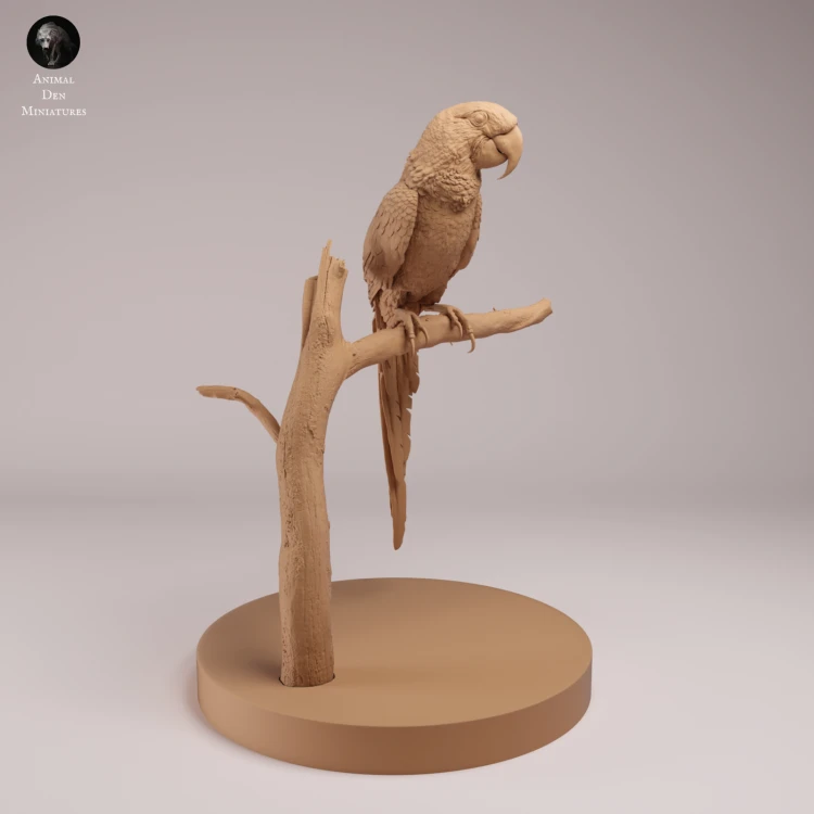 Hyacinth Macaw - 3.png