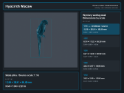 Hyacinth Macaw - 5.png
