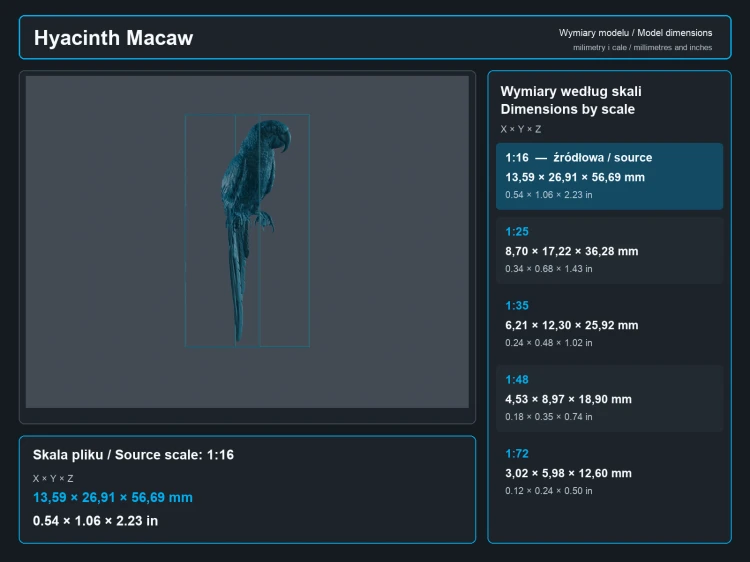 Hyacinth Macaw - 5.png