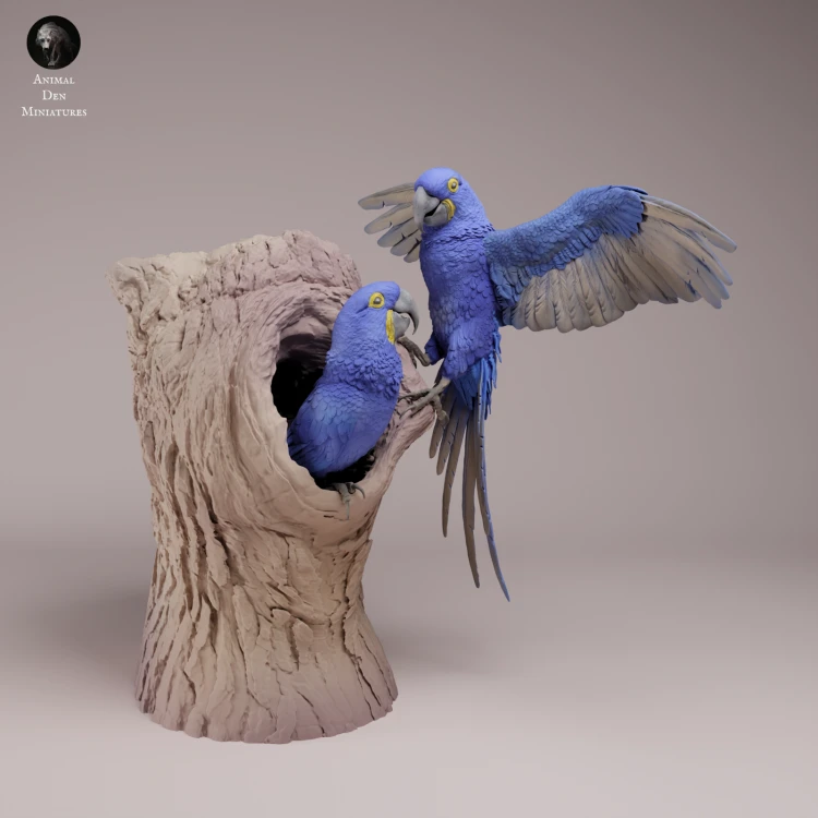 Hyacinth Macaws - Nest - 1.png
