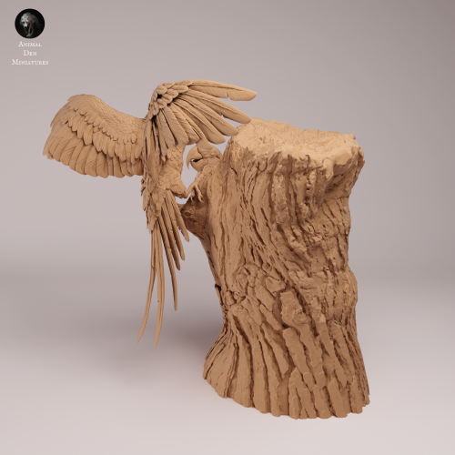 Hyacinth Macaws - Nest - 2.png