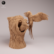 Hyacinth Macaws - Nest - 4.png