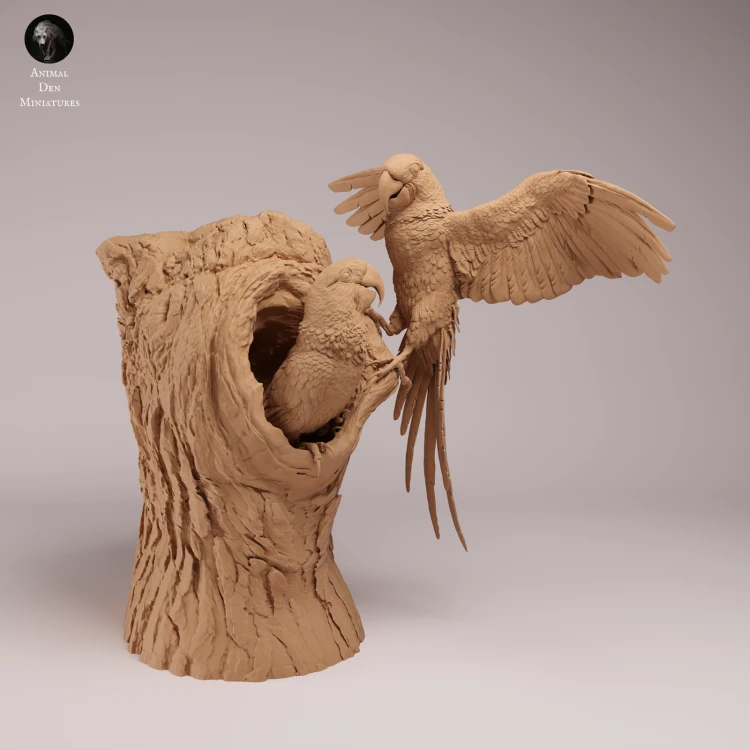 Hyacinth Macaws - Nest - 4.png