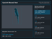 Hyacinth Macaws - Nest - 6.png