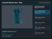 Hyacinth Macaws - Nest - 7.png
